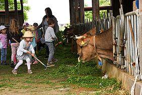 Kindergartenkinder werden zu Landwirten: hier füttern die Kindergartenkinder von St. Brigida in Preith die Kühe auf dem Bio-Bauernhof der Familie Mayer. Foto: Kath. Kita IN gGmbH/Vogl