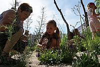 Mit Lupen unterwegs im Forschergarten. Gemeinsam mit der Betreuerin Hedwig Dautner bestimmen die Kinder die Pflanzen und Tiere. Foto: Kath. Kita IN gGmbH/Schödl